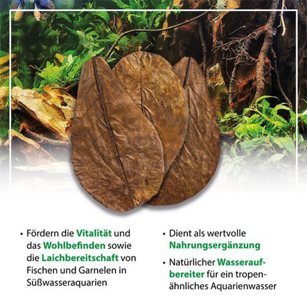 ARKA myScape Catappa Leaves / Seemandelbaumblätter